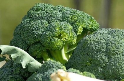Broccoli