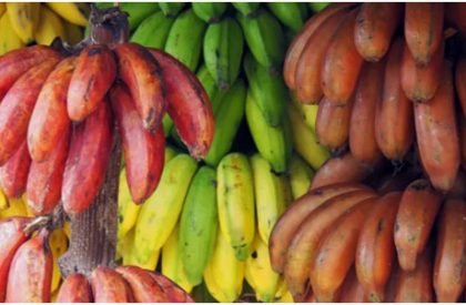 banana-1