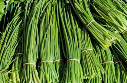 chives1 chives1