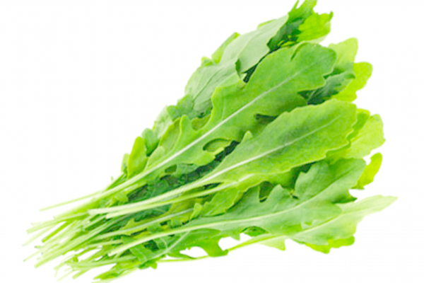 Arugula Arugula