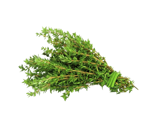 thyme