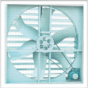 Exhaust Fan